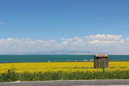 青海携途国际旅行社服务场景图