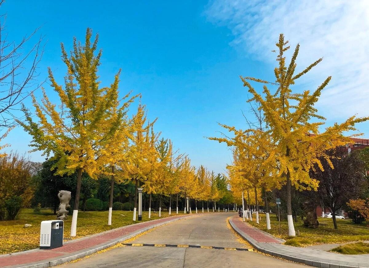 淮南师范学院图书馆
