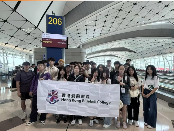 2026年赴港升学路径对比图